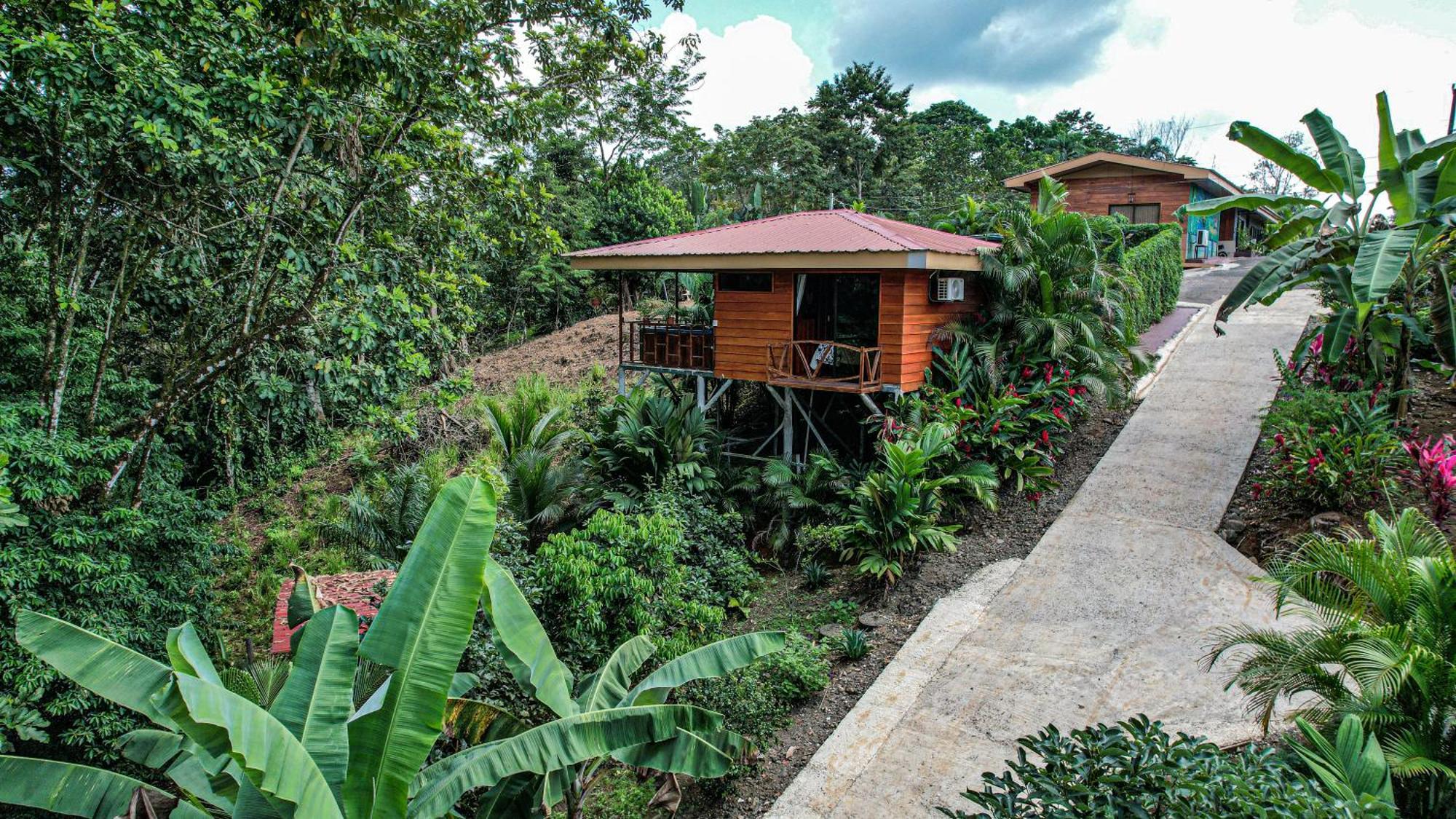 Bungalows Las Iguanas Arenal Volcano La Fortuna Exterior foto